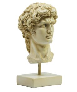 Alternative view of David Head